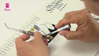 Rosy pattern with crystal stones in modern style