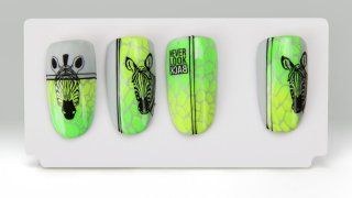 Zebra patterned nail art on a neon pigment base