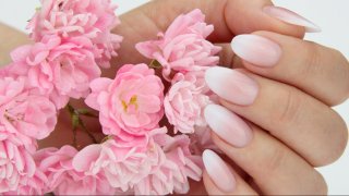 Classic almond-shaped, baby boomer French nail in salon length with white nail end