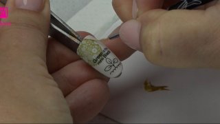 Stamping nail art inspired by nature conservation